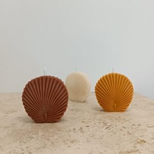 Petite feuille ronde