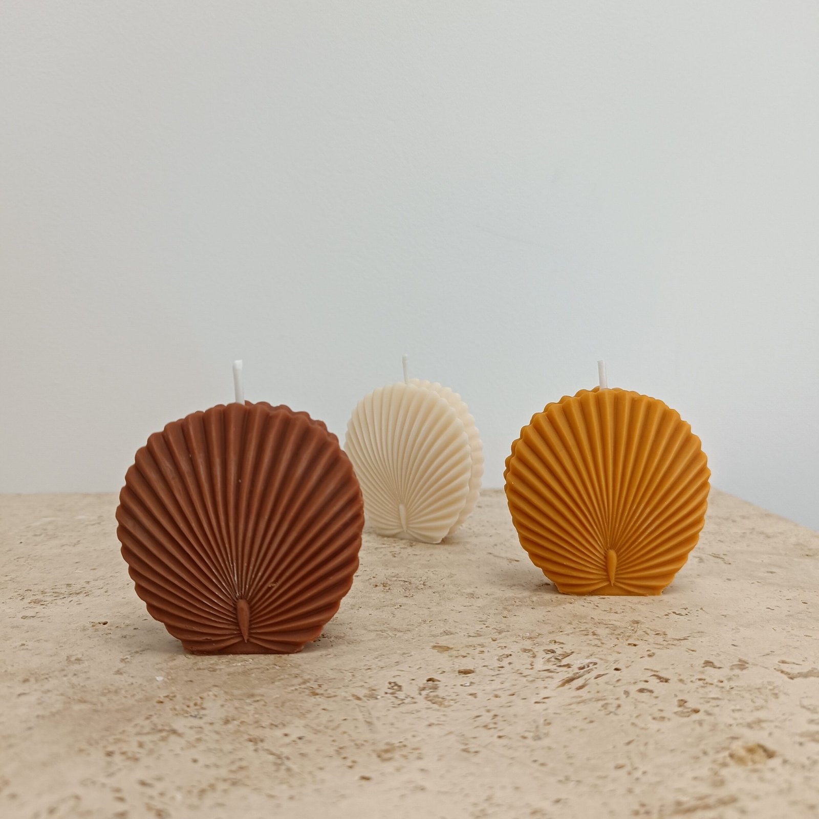 Petite feuille ronde